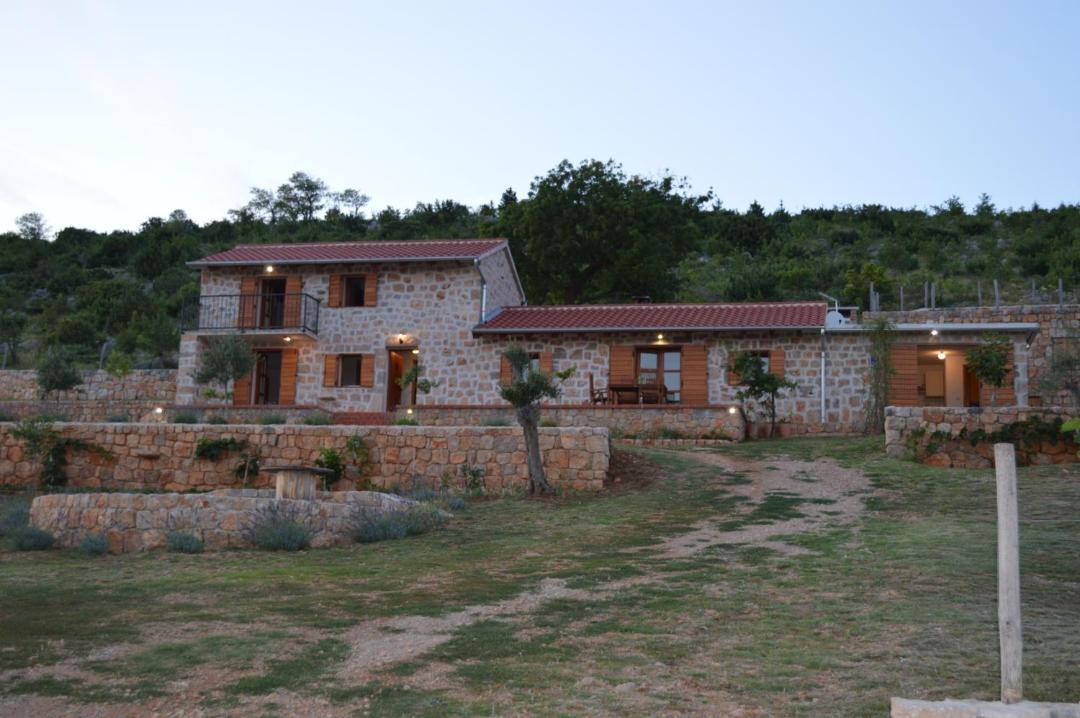 Photo of Others in Seline