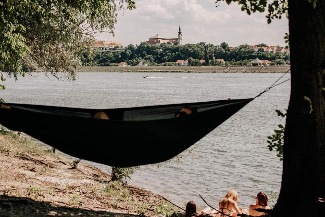 Photo of Others in Vukovar