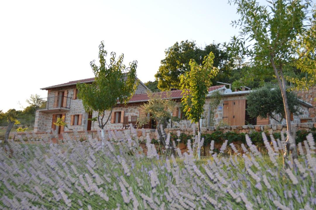 Photo of Others in Seline