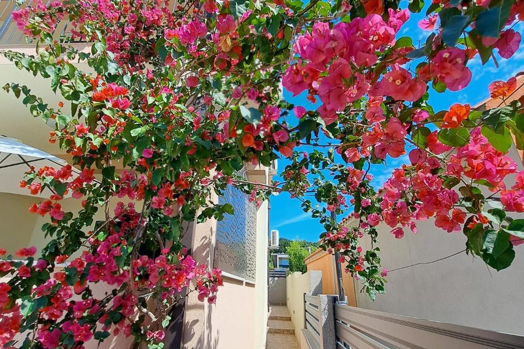 Photo of Patio Balcony in Rudine