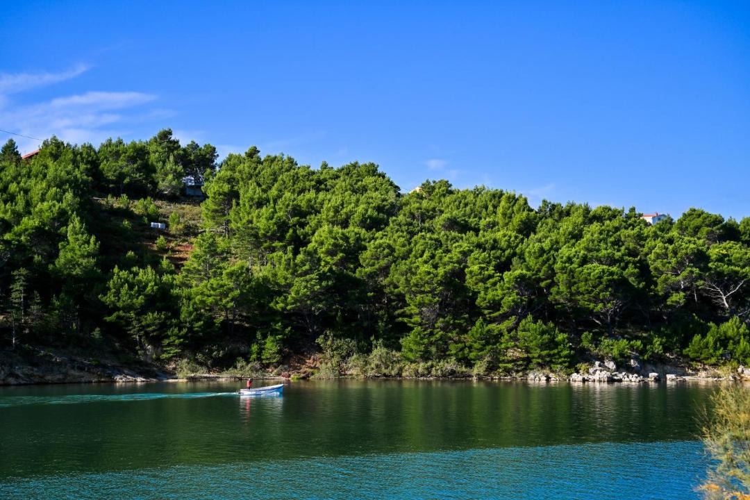 Photo of Others in Novigrad