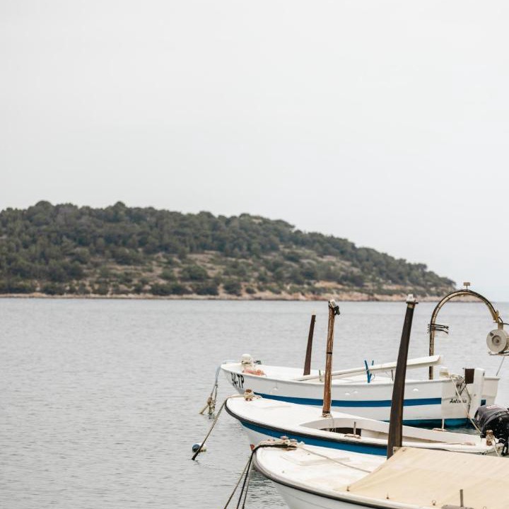 Photo of Others in Vis