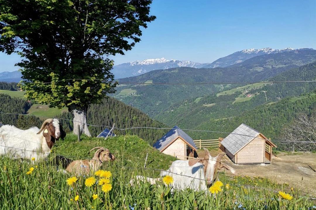 Photo of Others in Ljubno