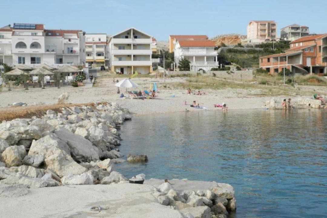 Photo of Others in Vidalici