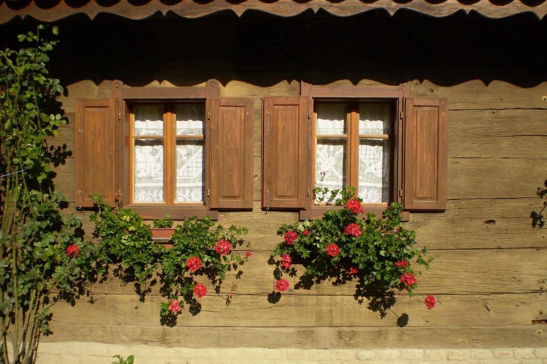 Photo of Others in Sisak