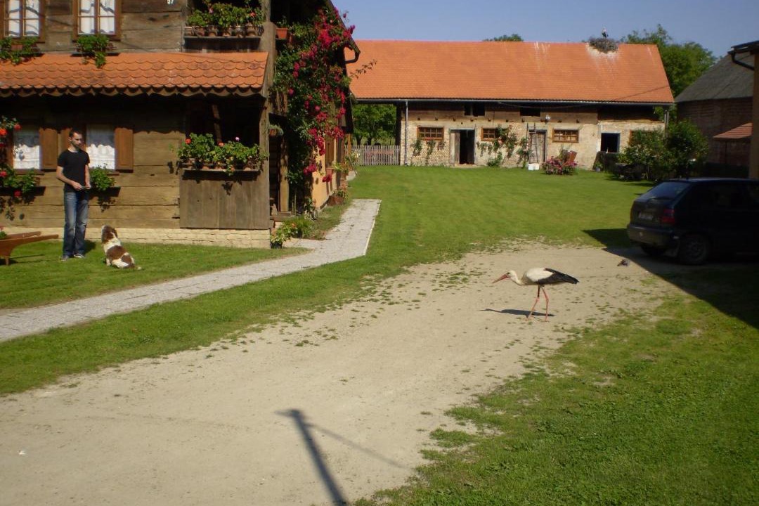 Photo of Others in Sisak