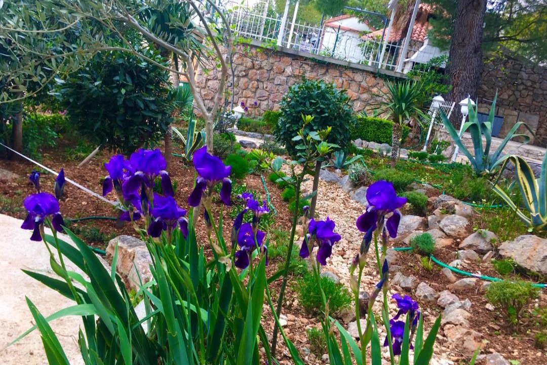 Photo of Outdoor in Starigrad