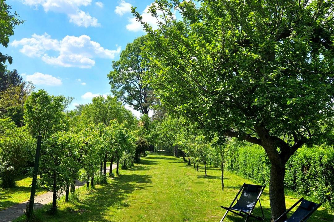 Photo of Outdoor in Lekenik