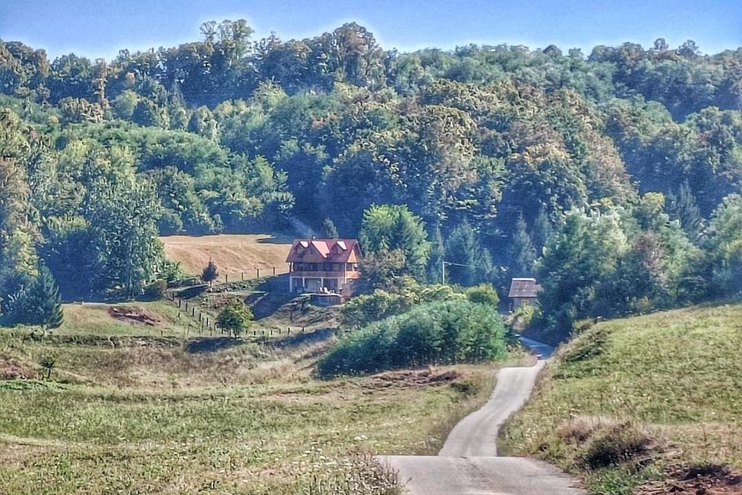 Photo of Others in Cvetkovic