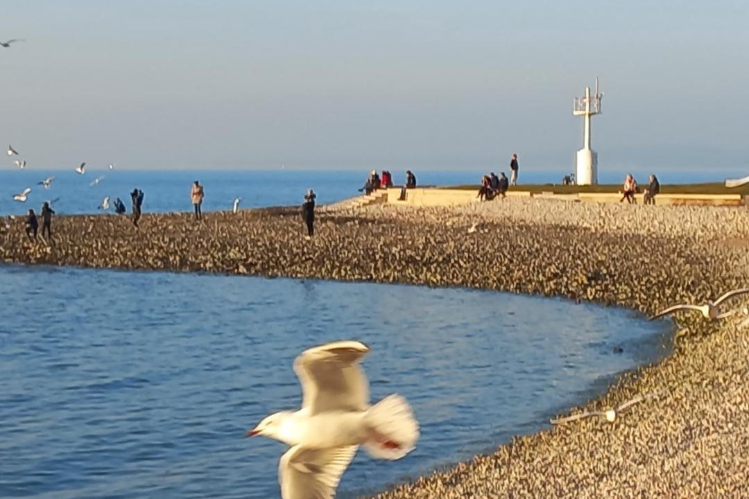 Photo of Others in Izola