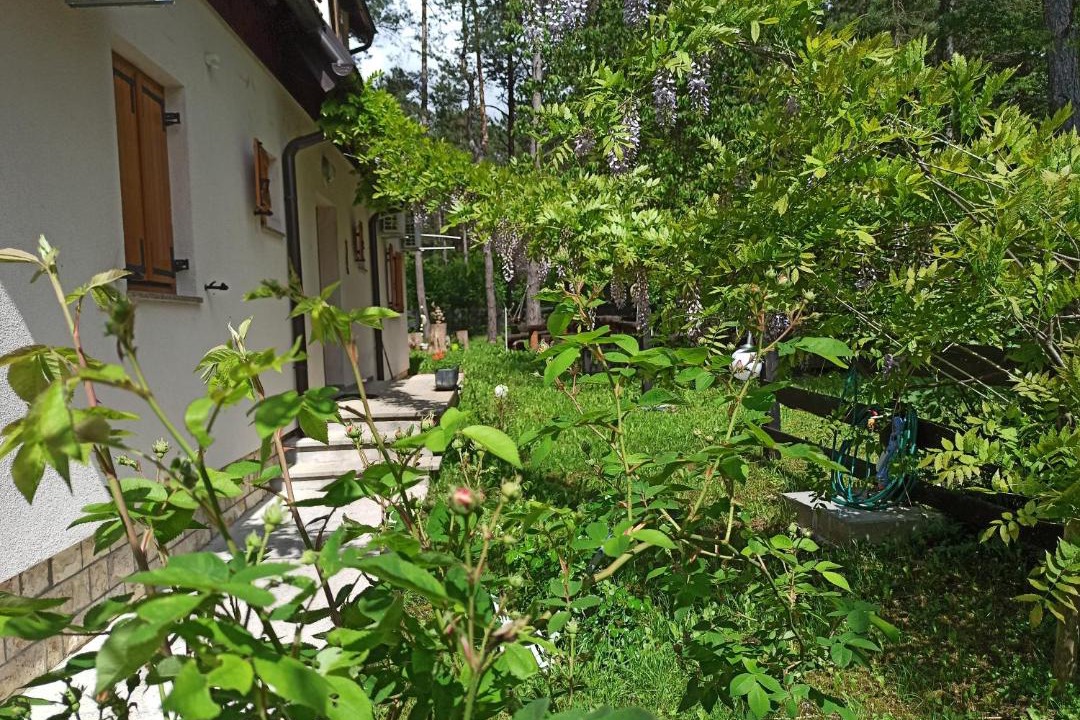 Photo of Others in Rudanovac