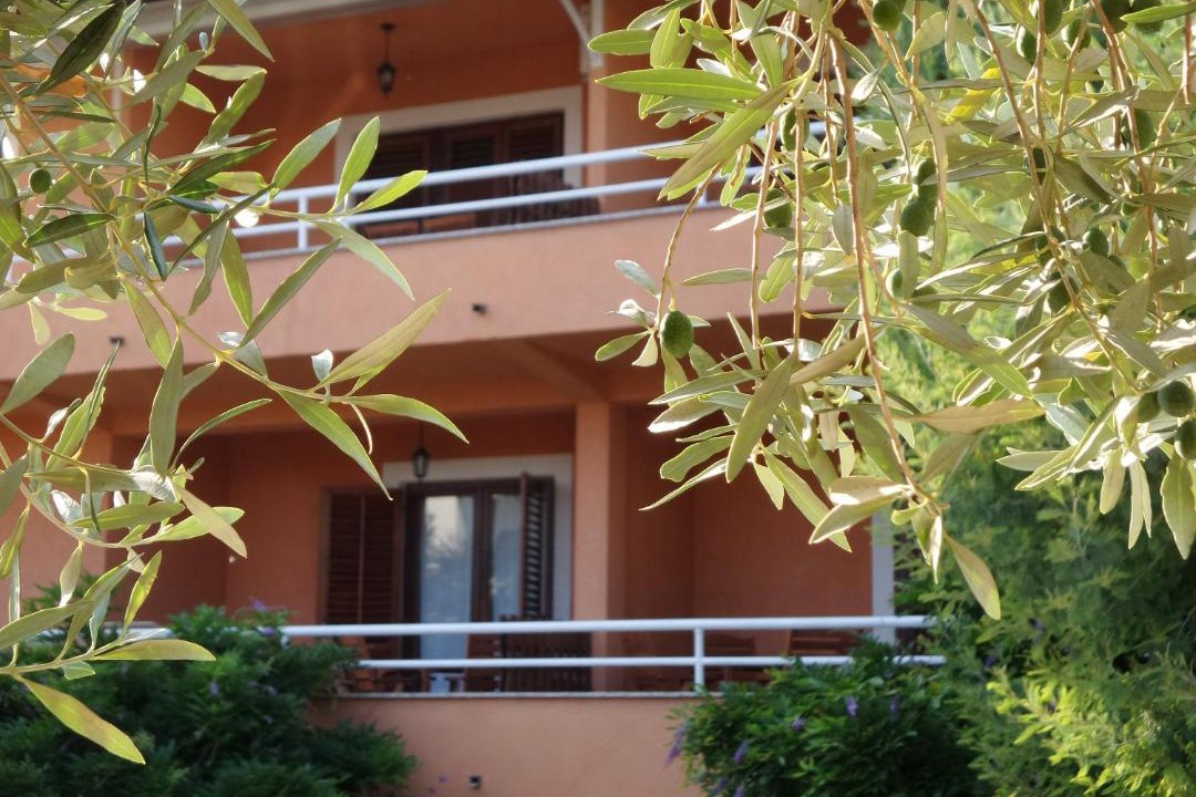 Photo of Others in Finida