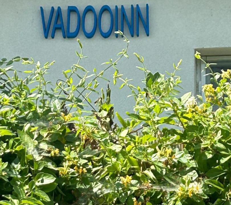 Photo of Others in Vadu