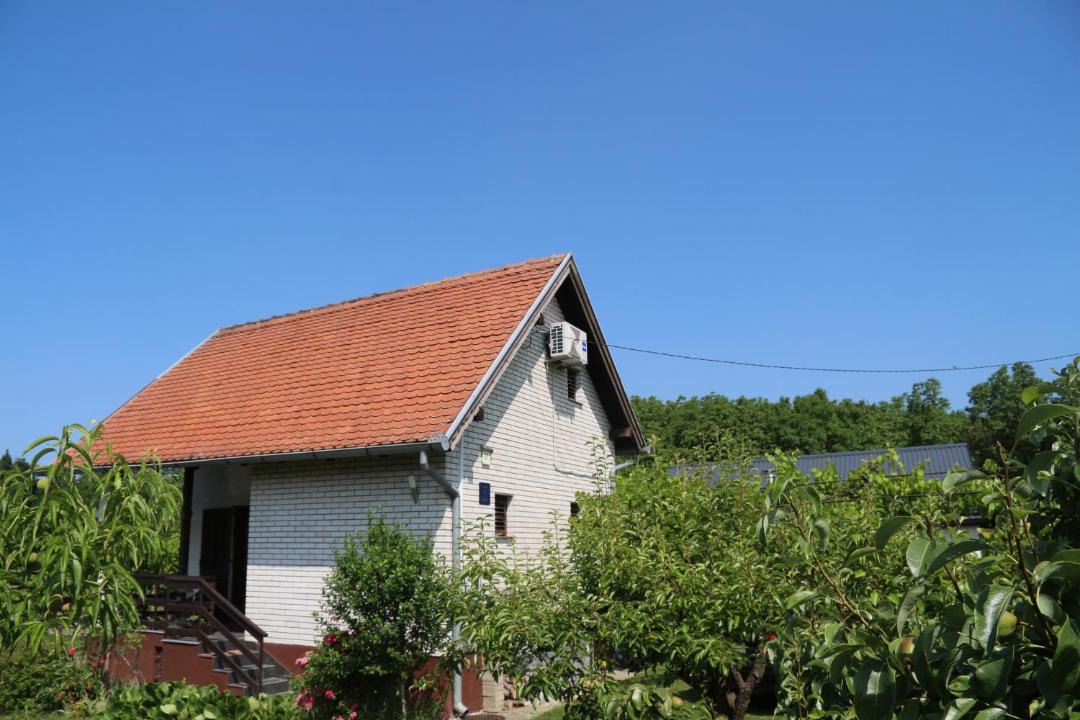 Photo of Others in Krizevci