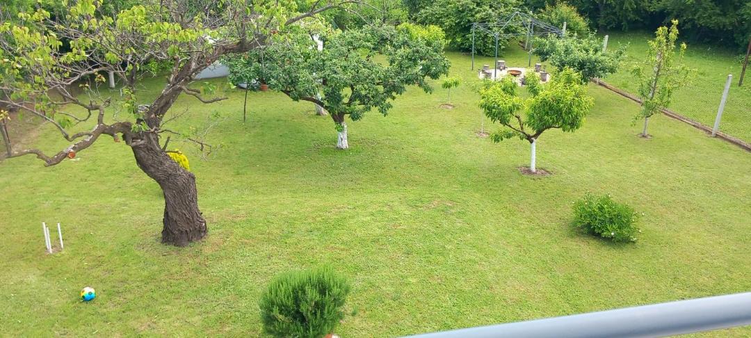 Photo of Others in Ilok