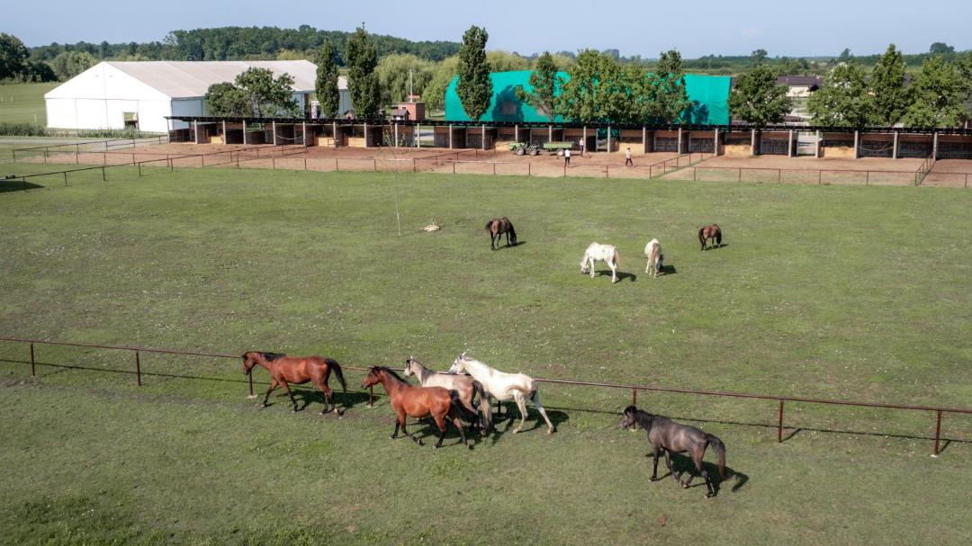 Photo of Others in Garcin