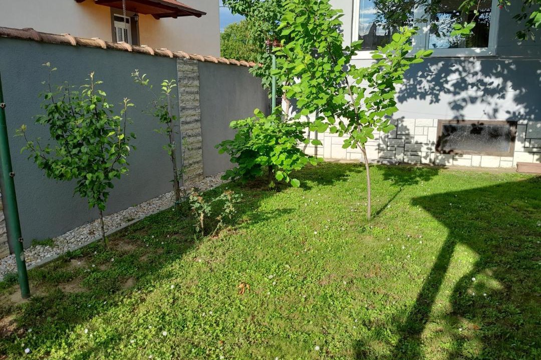 Photo of Others in Vukovar