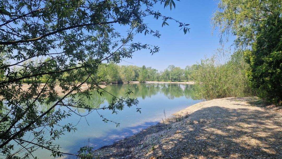 Photo of Others in Sveti Đurđ