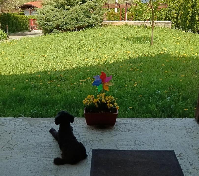 Photo of Others in Oroslavje