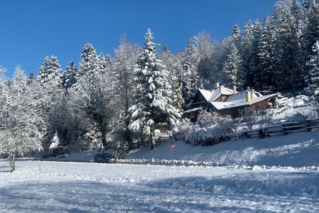 Photo of Others in Bednja