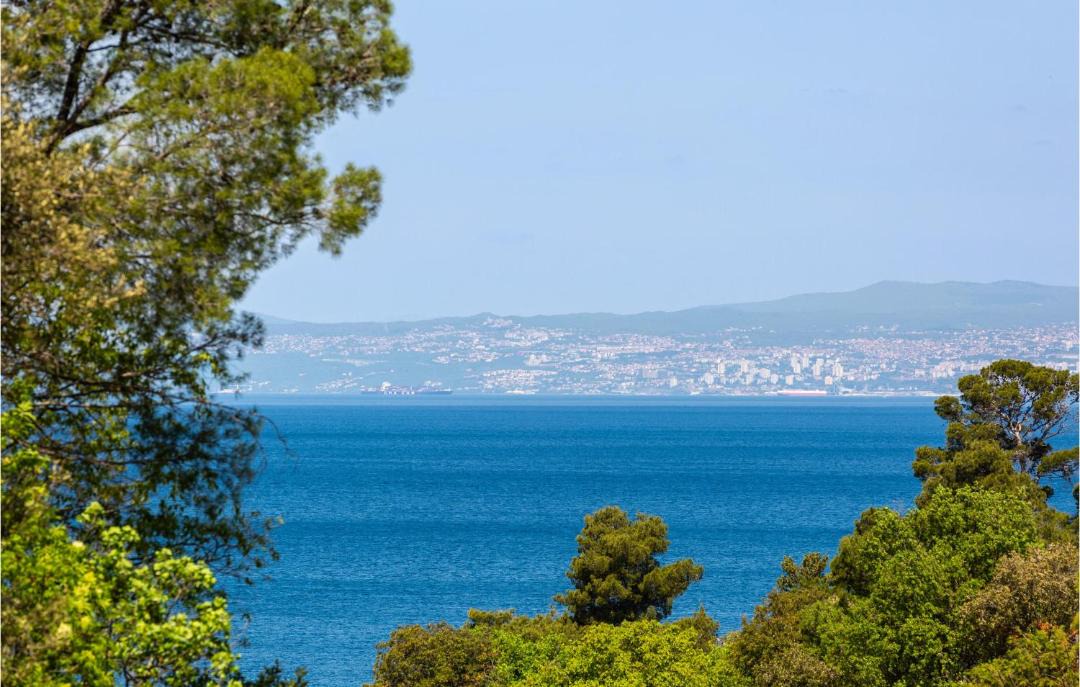 Photo of Others in Milcetici