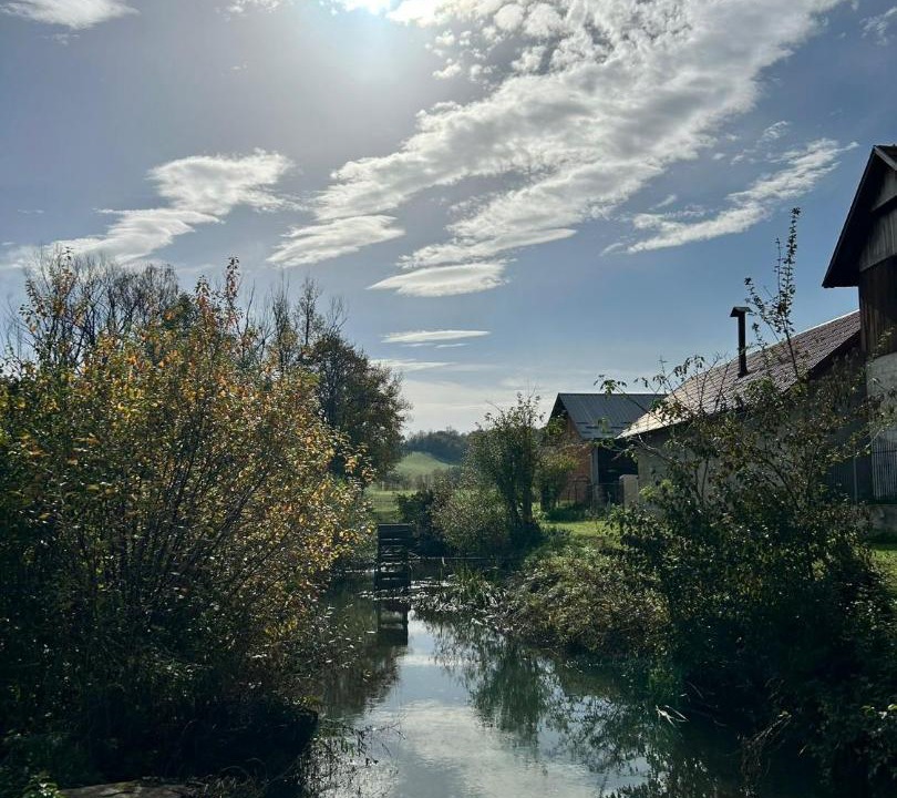 Photo of Others in Vojnic