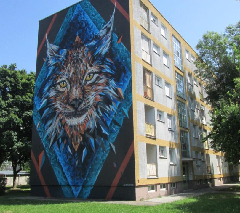 Photo of Others in Borovo