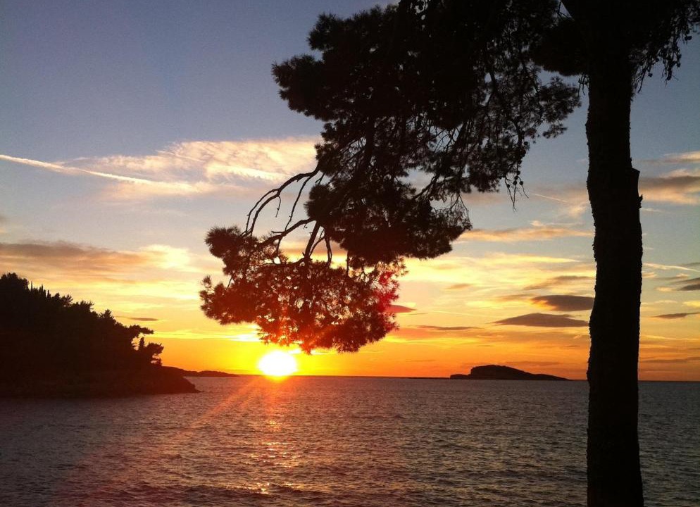 Photo of Others in Cavtat