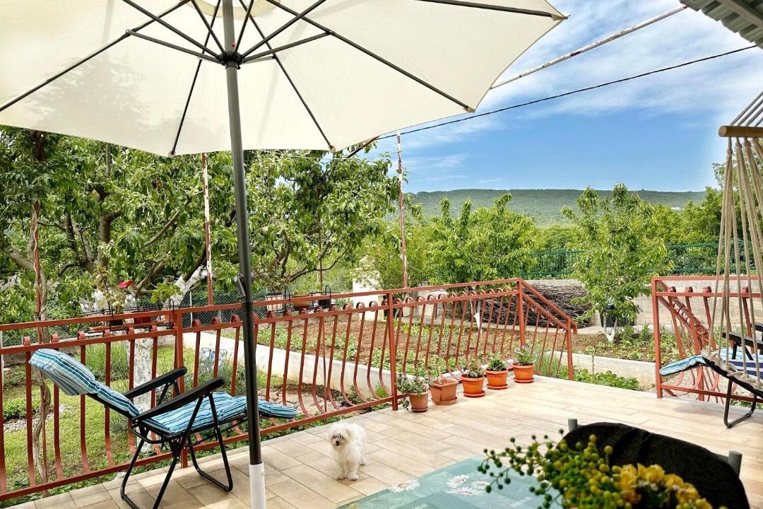Photo of Patio Balcony in Srijane