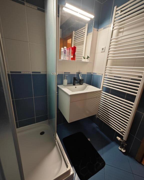 Photo of Bathroom in Osijek