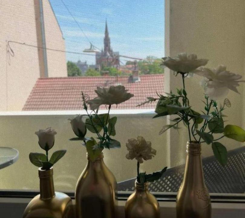 Photo of Others in Osijek
