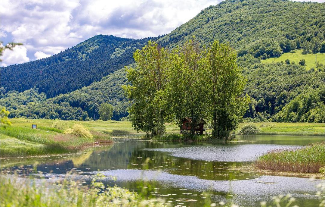 Photo of Others in Licko Lesce
