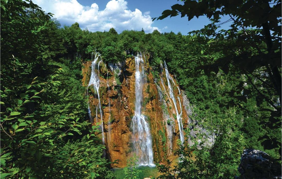 Photo of Others in Licko Lesce