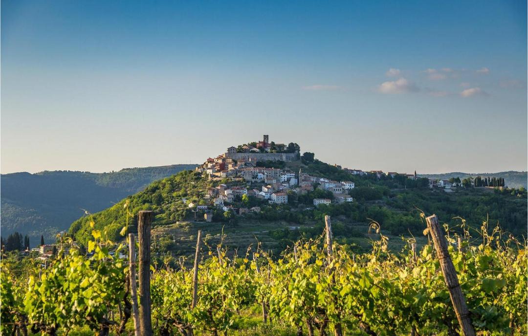 Photo of Others in Motovun