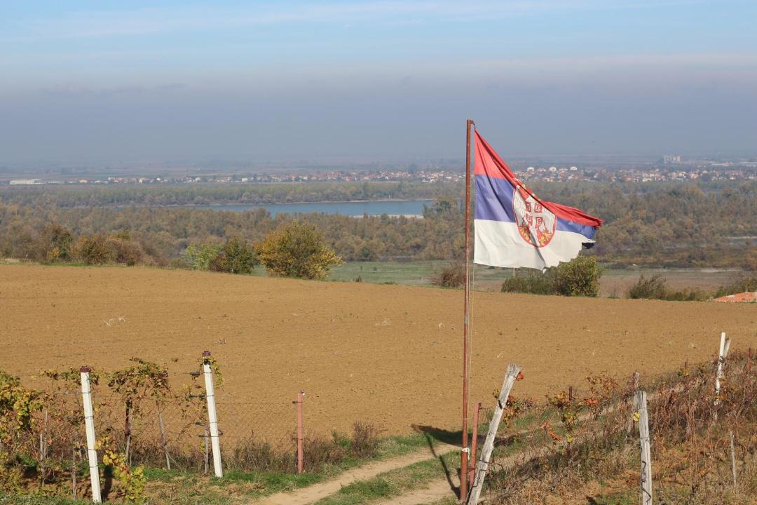 Photo of Others in Petrovaradin
