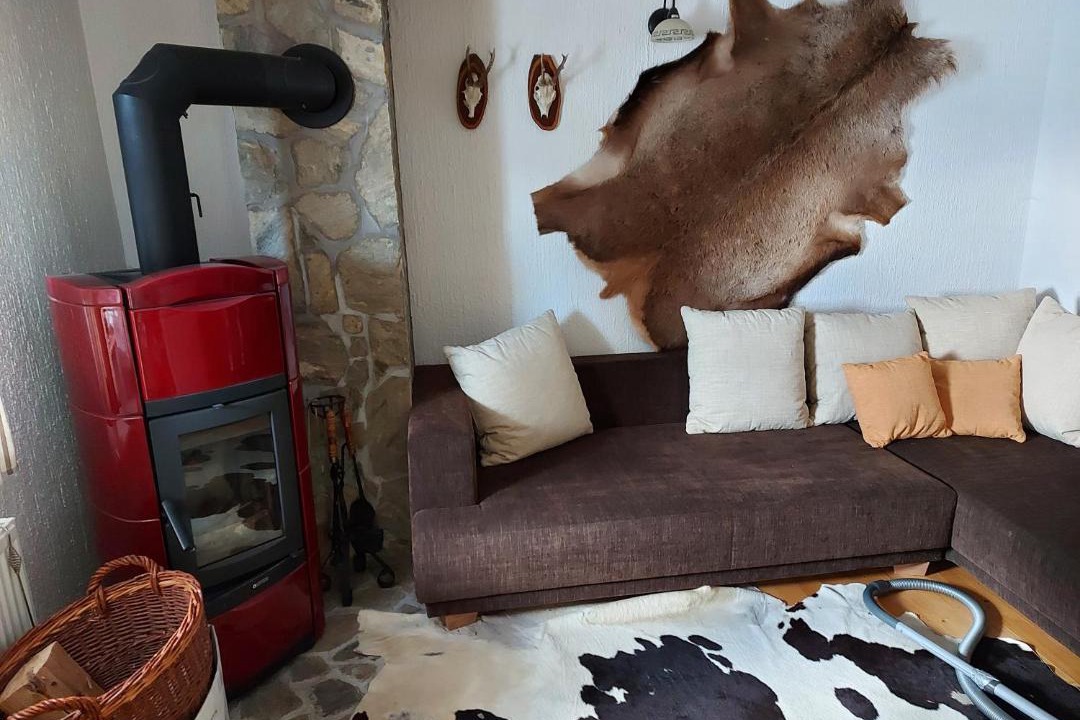 Photo of Livingroom in Zrece