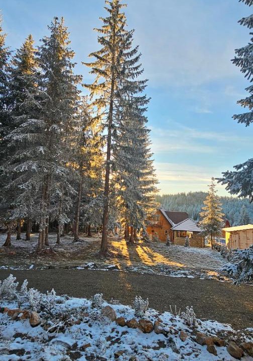 Photo of Others in Konjska Reka