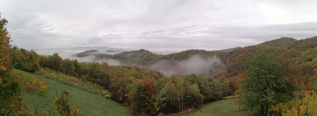 Photo of Others in Samobor