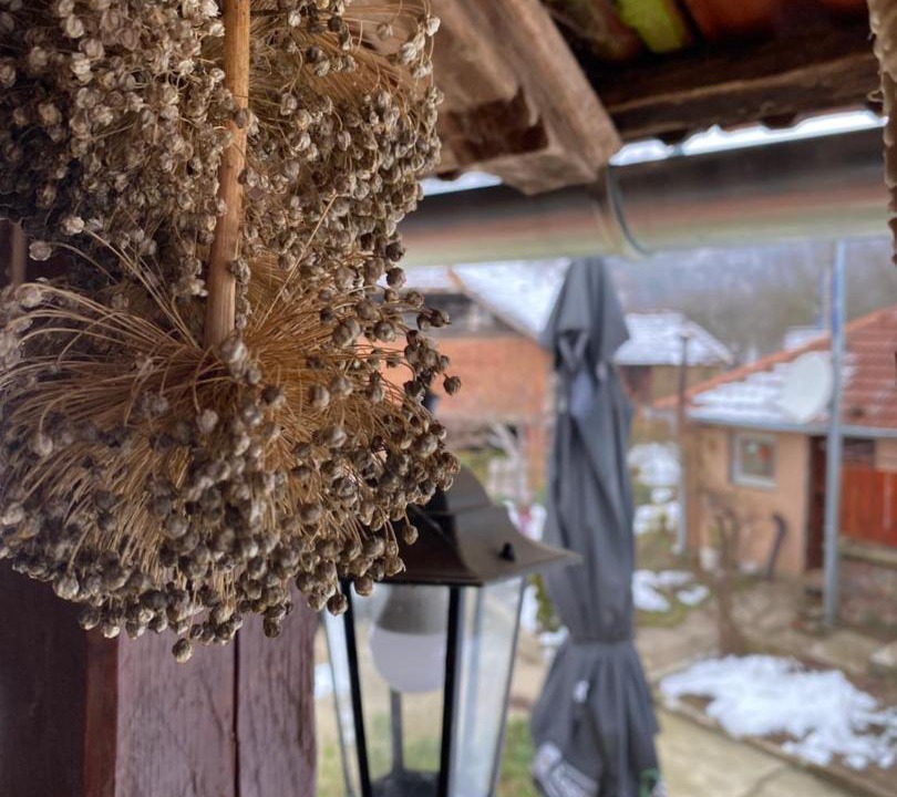 Photo of Others in Stara Planina