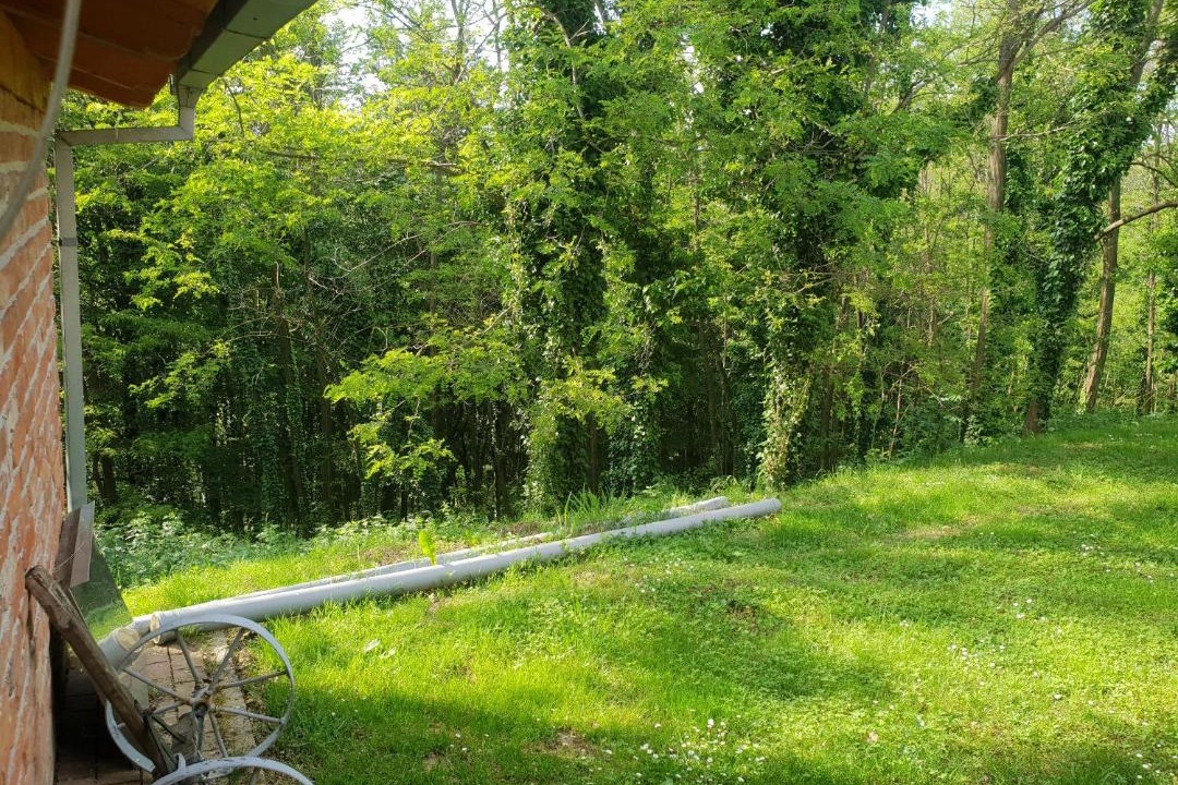 Photo of Others in Skaricevo
