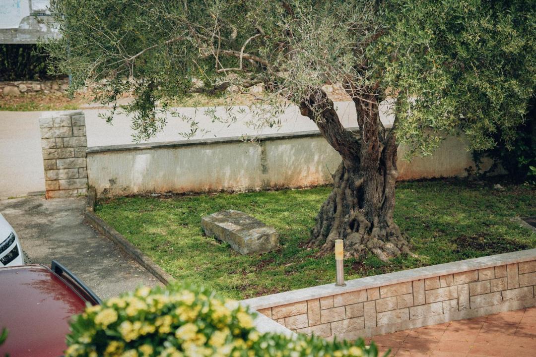 Photo of Others in Kukci