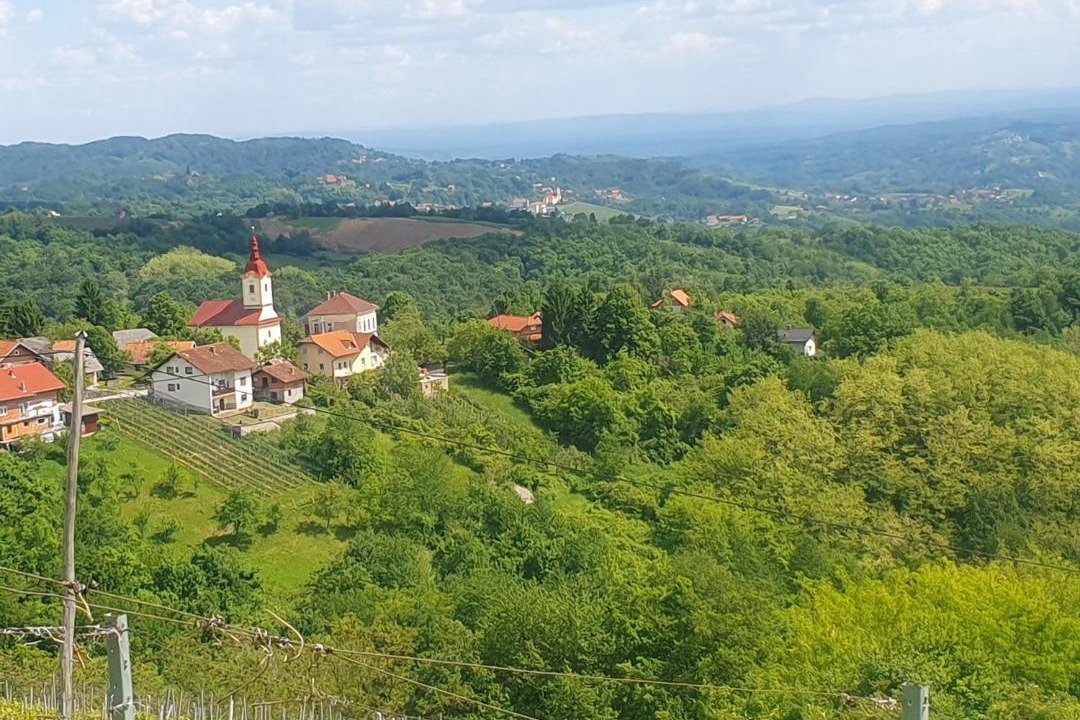 Photo of Others in Cvetkovic