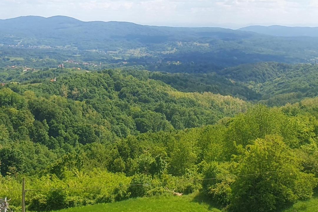 Photo of Others in Cvetkovic