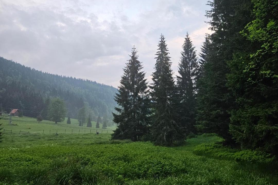 Photo of Others in Konjska Reka