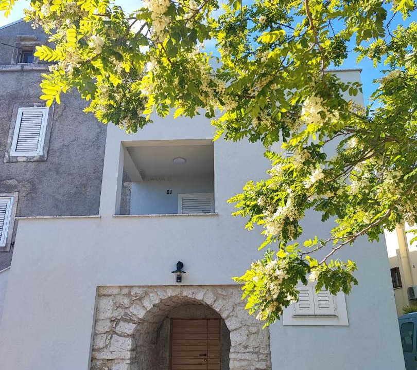 Photo of Others in Orlec