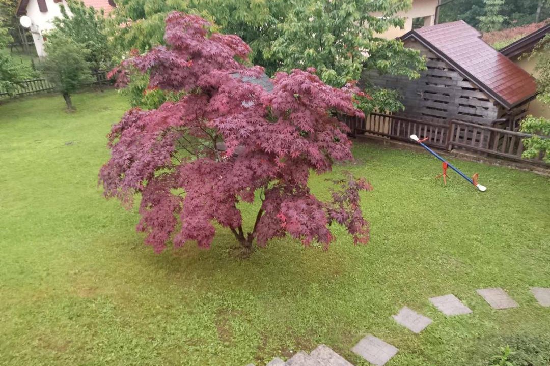Photo of Outdoor in Benkovac Fuzinski