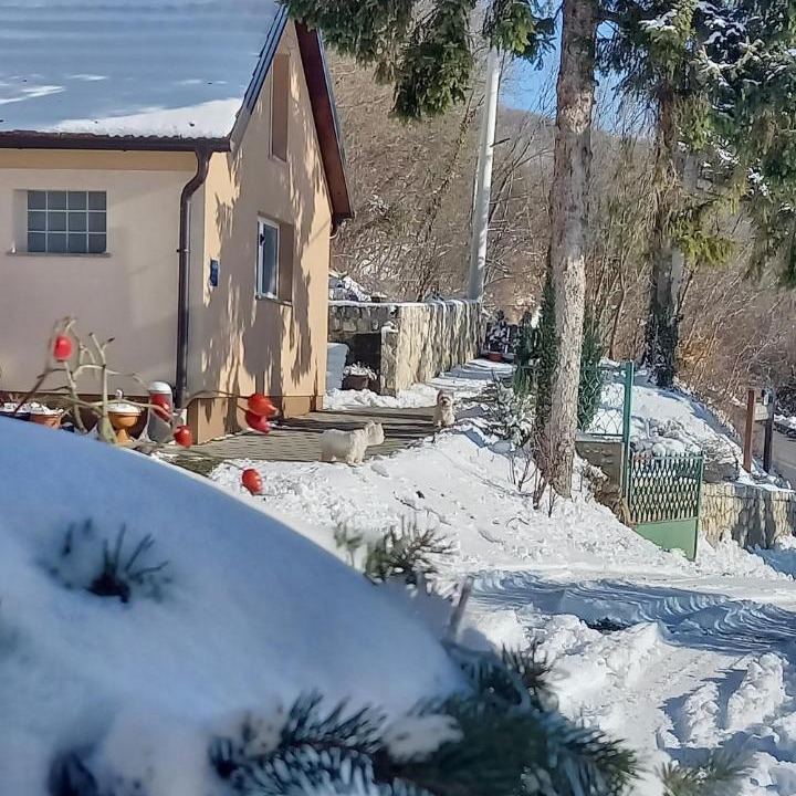 Photo of Others in Kalnik