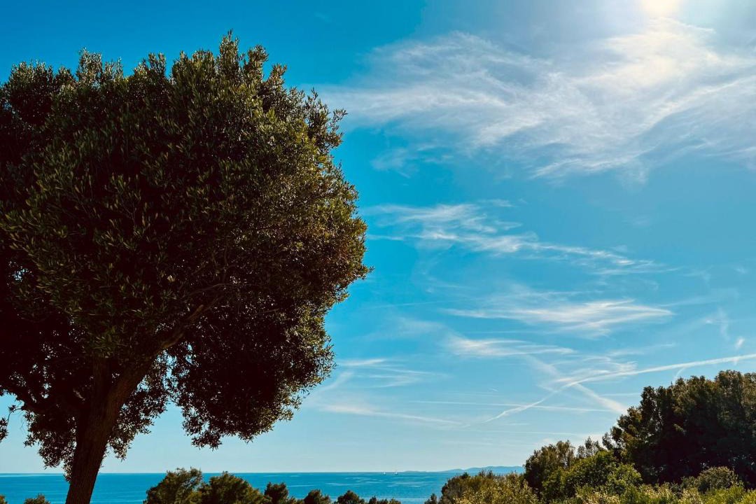 Photo of Others in Hvar
