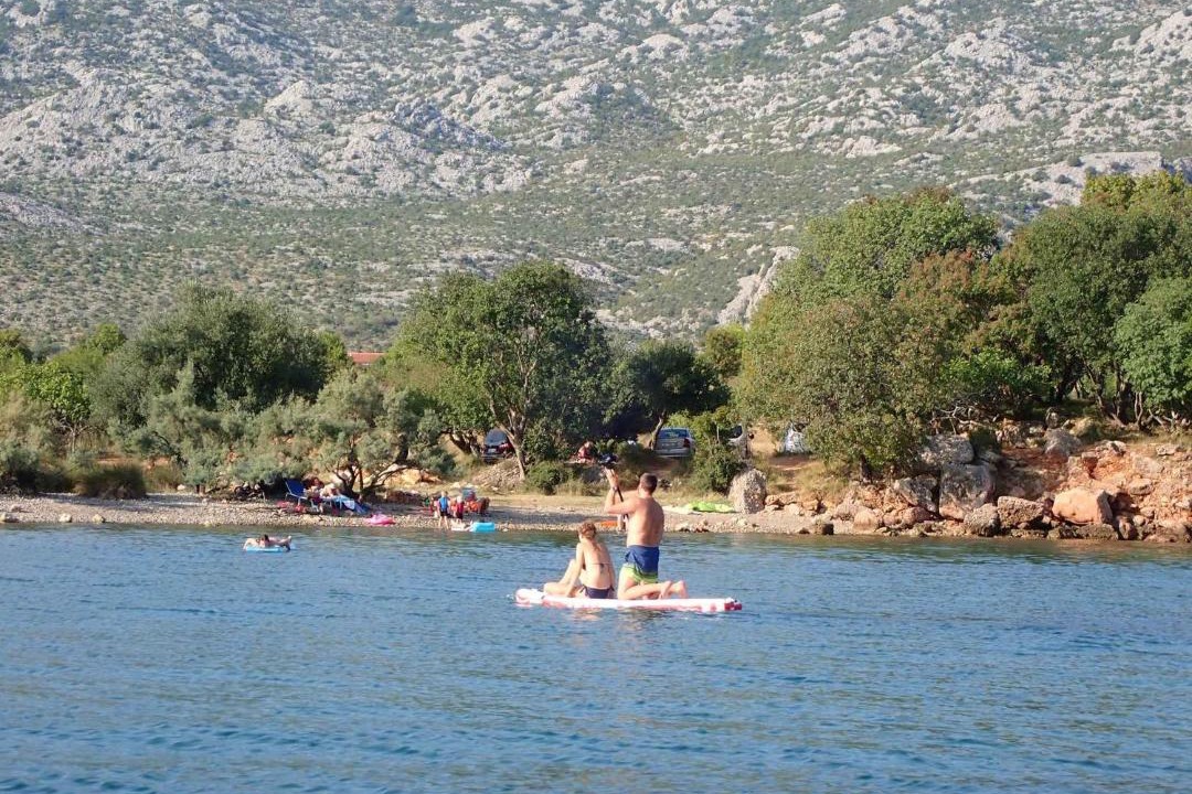 Photo of Others in Seline