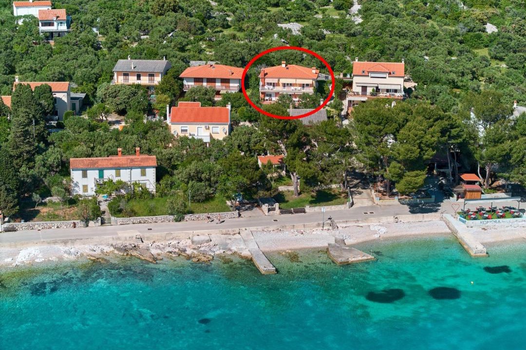 Photo of Others in Martinscica